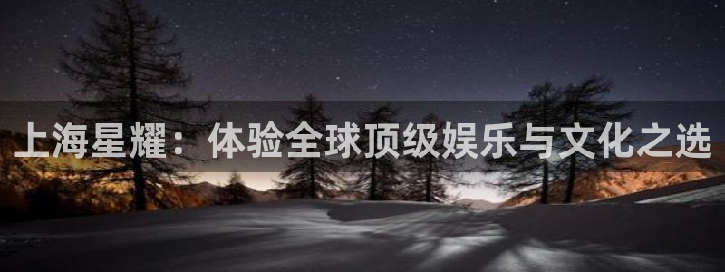 大满贯官网：上海星耀：体验全球顶级娱乐与文化之选