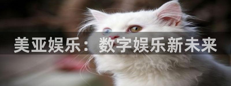 大满贯棋牌官网版：美亚娱乐：数字娱乐新未来