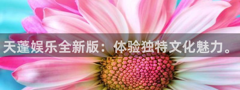 大满贯棋牌网址：天蓬娱乐全新版：体验独特文化魅力。