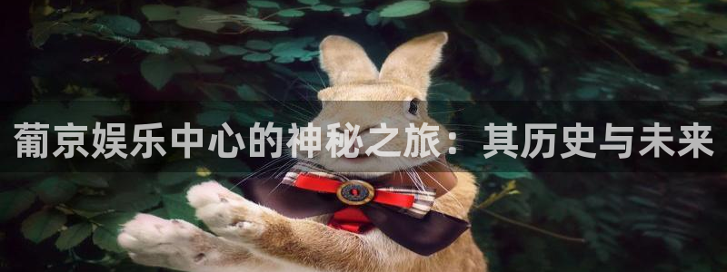 大满贯网站：葡京娱乐中心的神秘之旅：其历史与未来
