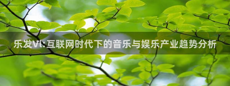 大满贯手机app下载