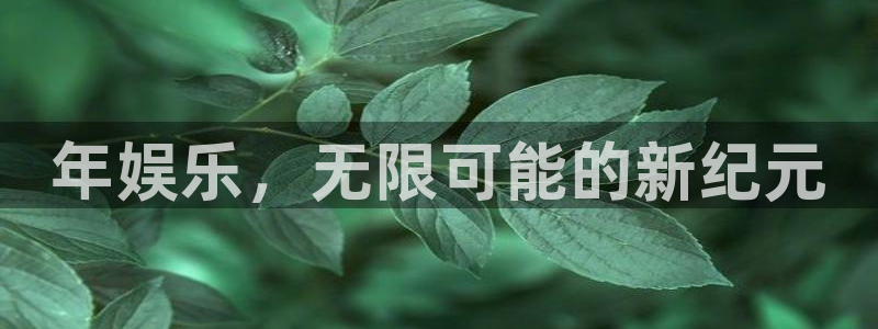 大满贯官方正版入口