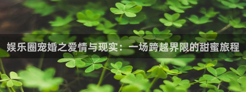 怀旧大满贯正版免费下载：娱乐圈宠婚之爱情与现实：一场跨越界限的甜蜜旅程