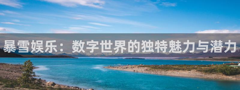 大满贯官网：暴雪娱乐：数字世界的独特魅力与潜力