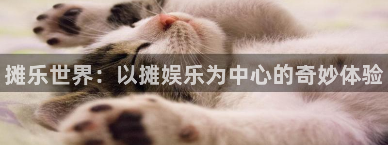 大满贯平台官网入口：摊乐世界：以摊娱乐为中心的奇妙体验