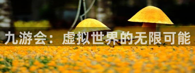 大满贯的网址多少：九游会：虚拟世界的无限可能