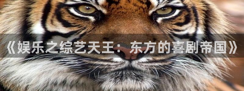 大满贯app下载最新版本：《娱乐之综艺天王：东方的喜剧帝国》