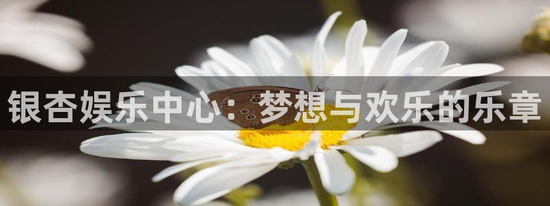 大满贯app安卓版：银杏娱乐中心：梦想与欢乐的乐章