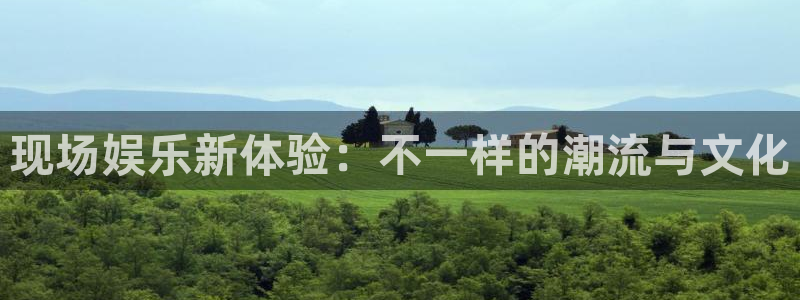 大满贯官网登录入口：现场娱乐新体验：不一样的潮流与文化