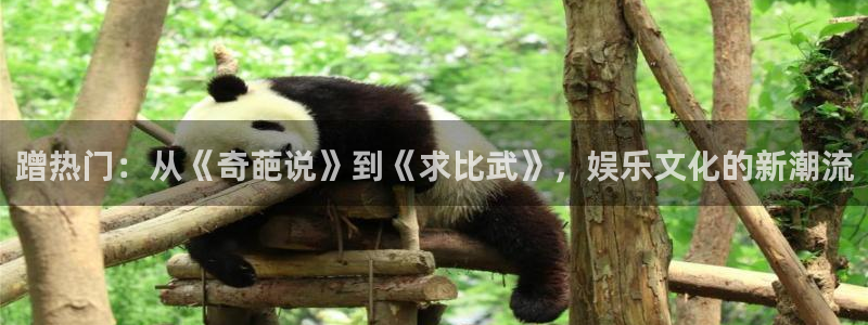 大满贯app苹果下载：蹭热门：从《奇葩说》到《求比武》，娱乐文化的新潮流