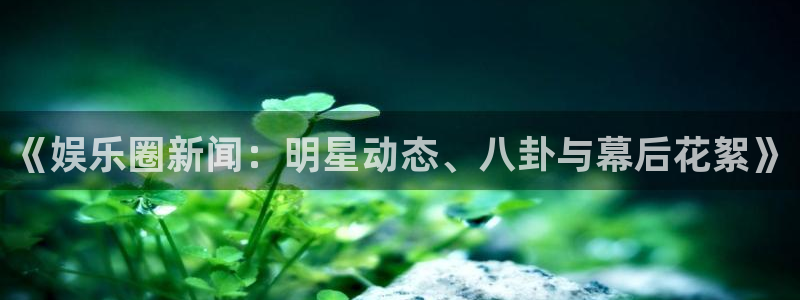 大满贯注册登录入口：《娱乐圈新闻：明星动态、八卦与幕后花絮》