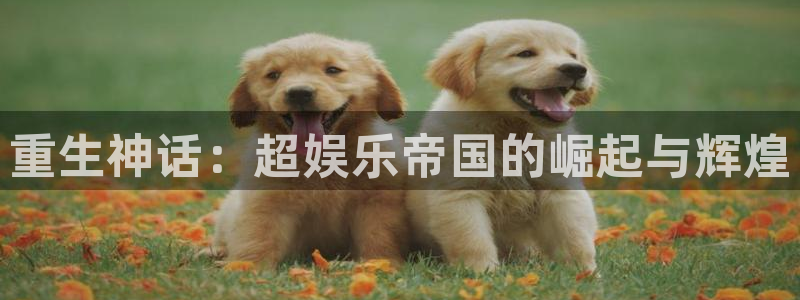 大满贯下载：重生神话：超娱乐帝国的崛起与辉煌
