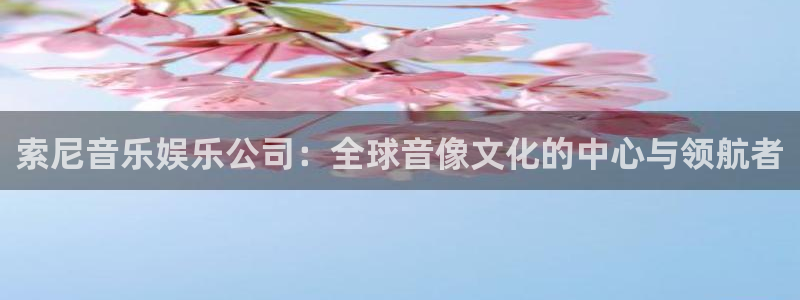 大满贯官网网站：索尼音乐娱乐公司：全球音像文化的中心与领航者