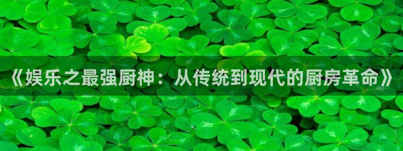 大满贯app登录入口官网：《娱乐之最强厨神：从传统到现代的厨房革命》