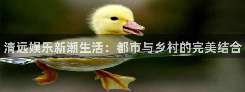 大满贯棋牌网：清远娱乐新潮生活：都市与乡村的完美结合