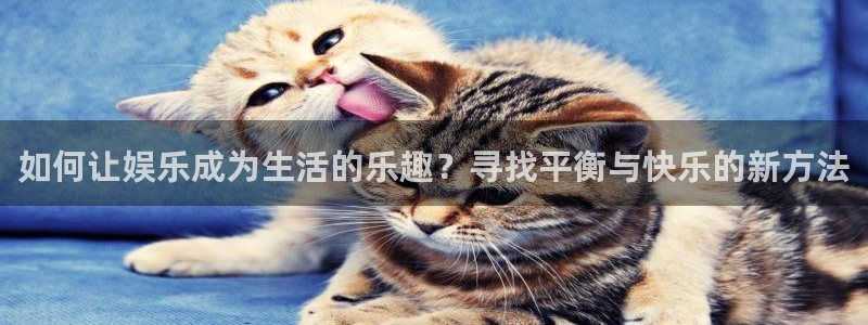 大满贯注册登录入口：如何让娱乐成为生活的乐趣？寻找平衡与快乐的新方法