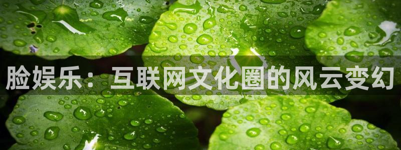 大满贯官网界面视觉重构.活动专区.中国：脸娱乐：互联网文化圈的风云变幻