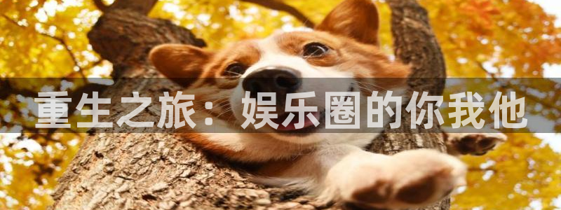 超级大满贯2下载：重生之旅：娱乐圈的你我他
