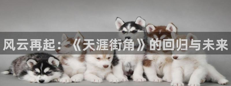 大满贯app官方下载：风云再起：《天涯街角》的回归与未来