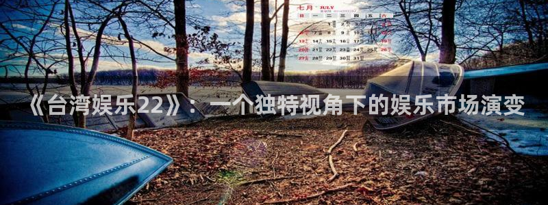 大满贯官网界面视觉重构.活动专区.中国：《台湾娱乐22》：一个独特视角下的娱乐市场演变