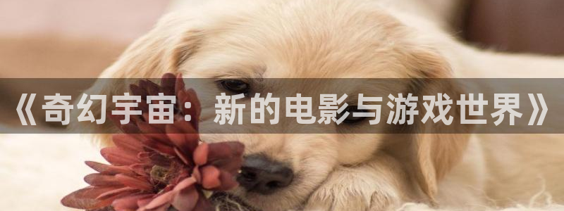 大满贯下载：《奇幻宇宙：新的电影与游戏世界》