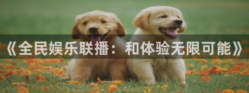 大满贯软件下载：《全民娱乐联播：和体验无限可能》