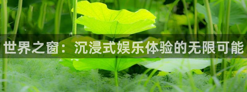 大满贯app登录入口：世界之窗：沉浸式娱乐体验的无限可能