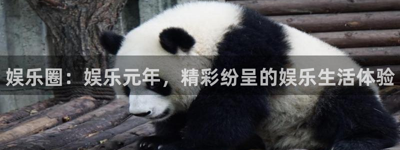 pg大满贯平台官网：娱乐圈：娱乐元年，精彩纷呈的娱乐生活体验