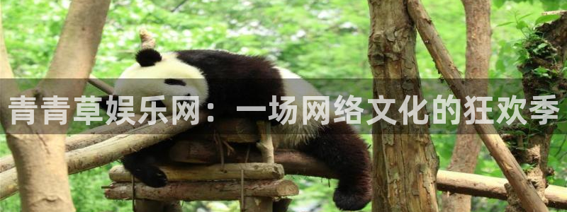 大满贯软件网站：青青草娱乐网：一场网络文化的狂欢季