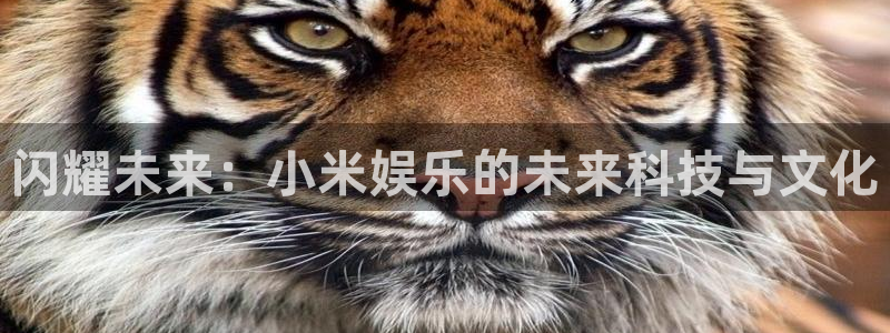 大满贯棋牌官网下载：闪耀未来：小米娱乐的未来科技与文化