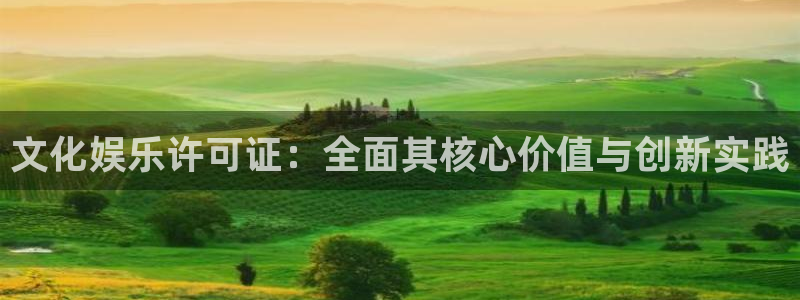 大满贯下载：文化娱乐许可证：全面其核心价值与创新实践